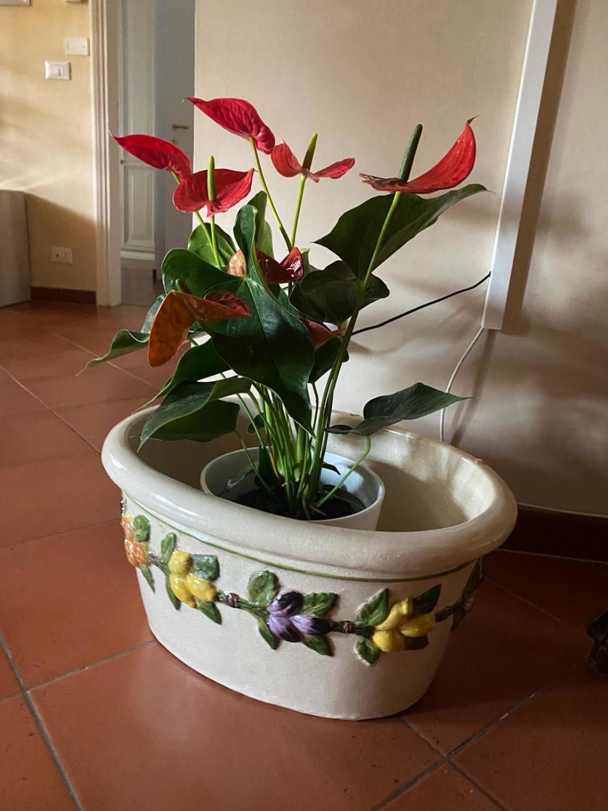 Appartamento Magnolia Mercatale Val Di Pesa Esterno foto